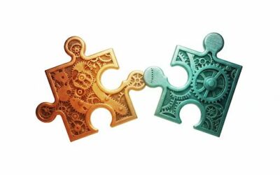 La différence entre le BQP et le protocole « Vie Chère » ?