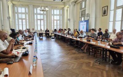 Réunion Plénière de l’OPMR Martinique 28/01/2026 : Le point sur le pouvoir d’achat et les prix en 2025