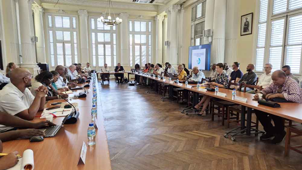 Réunion Plénière de l’OPMR Martinique 28/01/2026 : Le point sur le pouvoir d&rsquo;achat et les prix en 2025